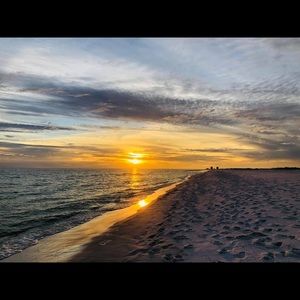 Meet your Posher, Sunny